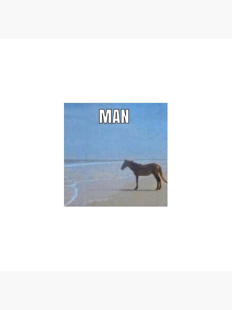 Man Horse By Ocean Meme Tote Bag By Makothewizard Redbubble