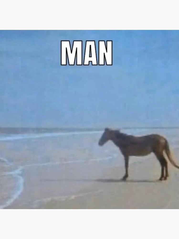 Horse On Beach Meme Man Stickers.