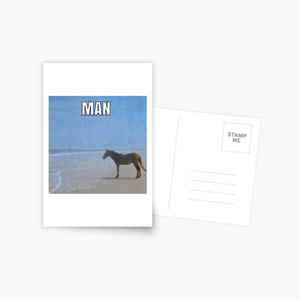 Man Horse By Ocean Meme Postcard By Makothewizard Redbubble