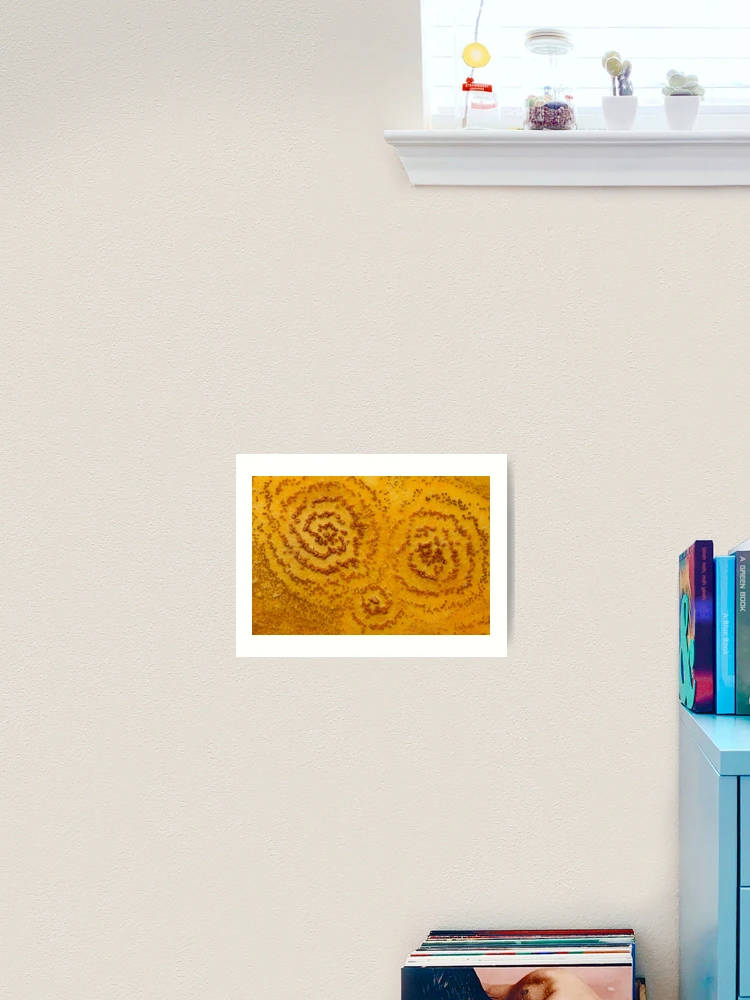 Thumbnail 2 of 3, Art Print, Swirly Pattern designed and sold by Bill Rockenbeck.