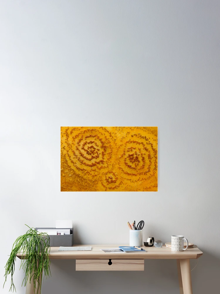 Thumbnail 2 of 3, Poster, Swirly Pattern designed and sold by Bill Rockenbeck.