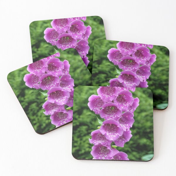 Item preview, Digitalis purpurea (Common Foxglove) designed and sold by Andy Harker.