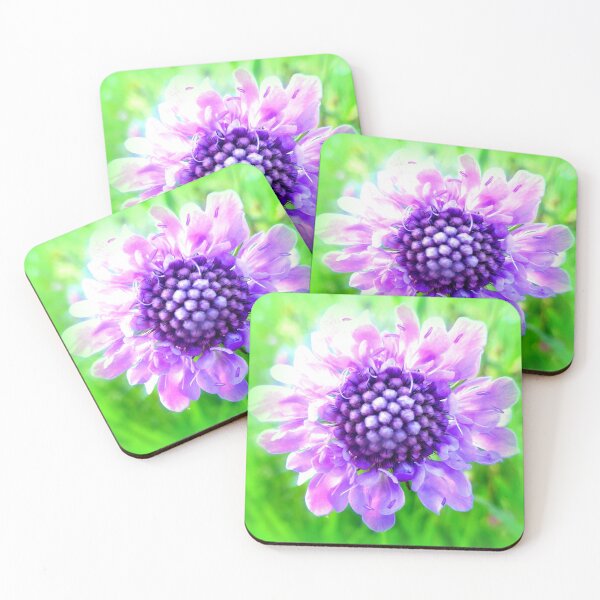 Item preview, Scabiosa closeup designed and sold by angel1.