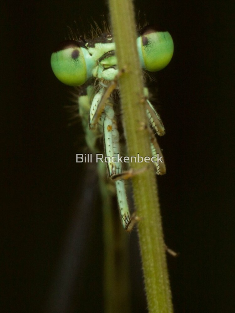 Thumbnail 4 of 4, iPhone Case, Bug on Stick designed and sold by RockingLaurie.