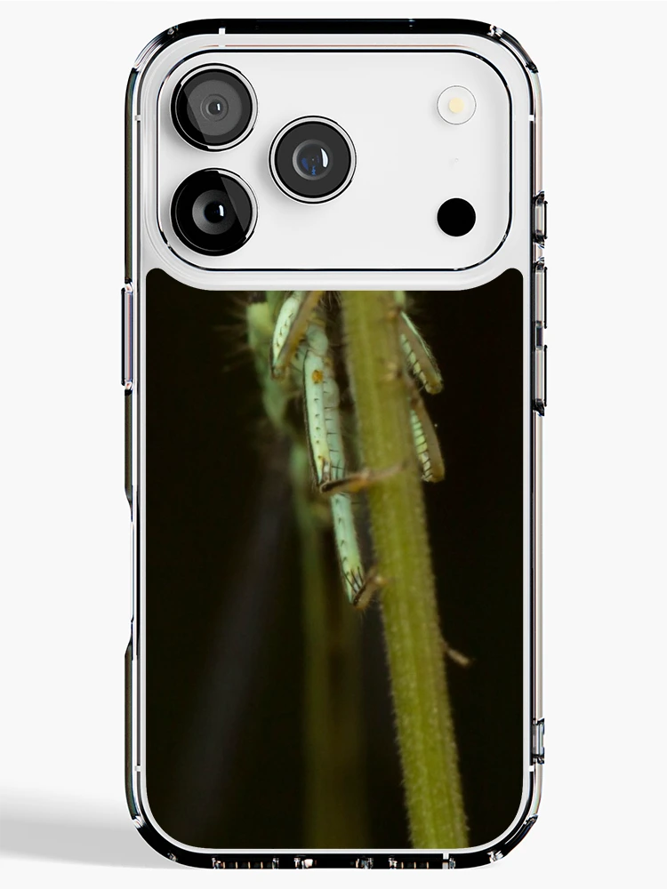 Thumbnail 1 of 5, iPhone Case, Bug on Stick designed and sold by Bill Rockenbeck.