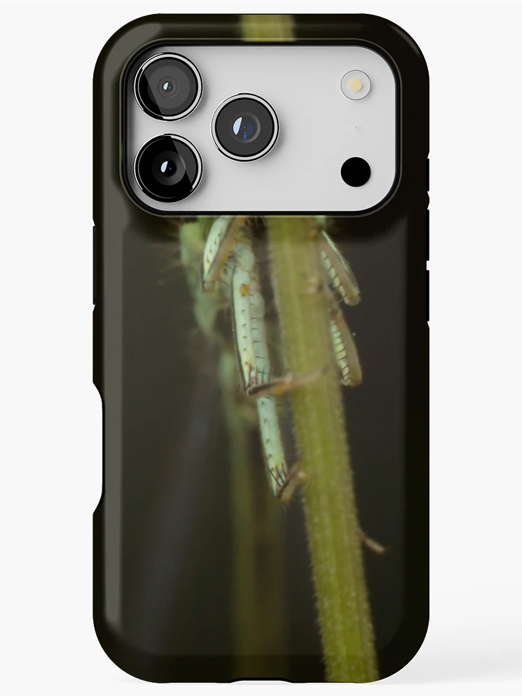 Thumbnail 1 of 4, iPhone Case, Bug on Stick designed and sold by Bill Rockenbeck.