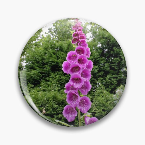 Item preview, Digitalis purpurea (Common Foxglove) designed and sold by Andy Harker.