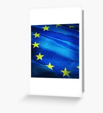 European flag Greeting Card