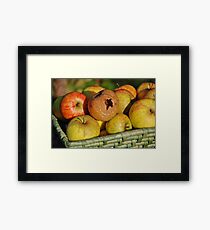 Rotten apple in the basket Framed Print