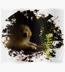 frend Poster