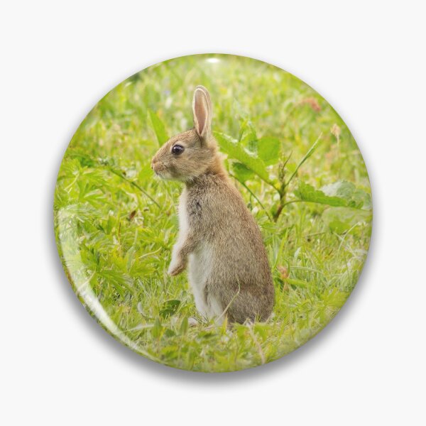 Item preview, Wild Rabbit designed and sold by ellenmpics.