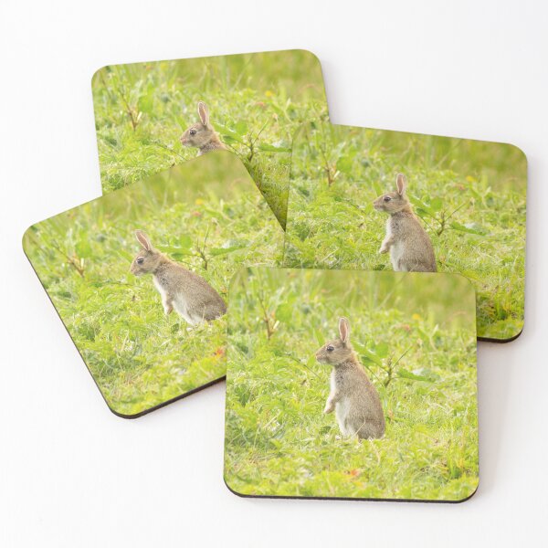 Item preview, Wild Rabbit designed and sold by ellenmpics.