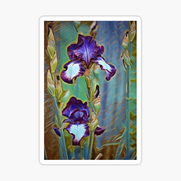 Item preview, Purple and White Irises designed and sold by ReneeKennedy.