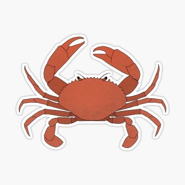 Cooler (King Crab Orange) Sticker for Sale by steveskaar