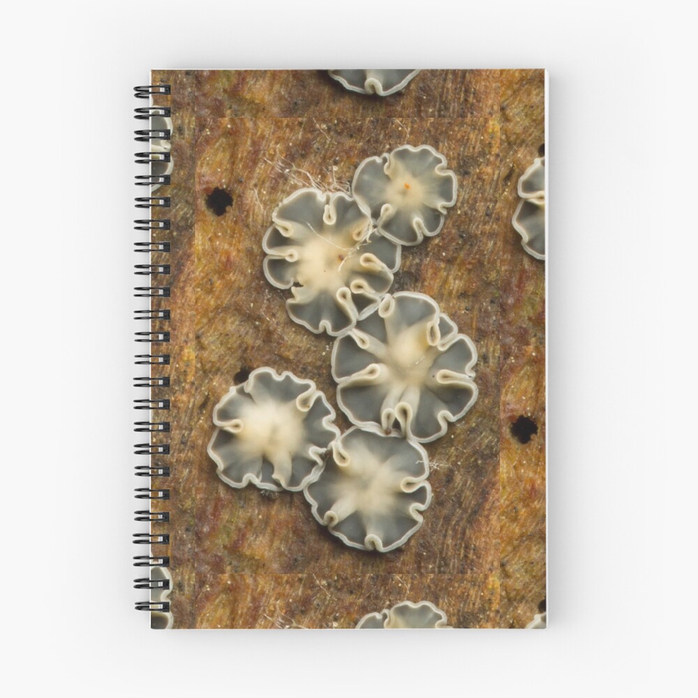 Item preview, Spiral Notebook designed and sold by RockingLaurie.