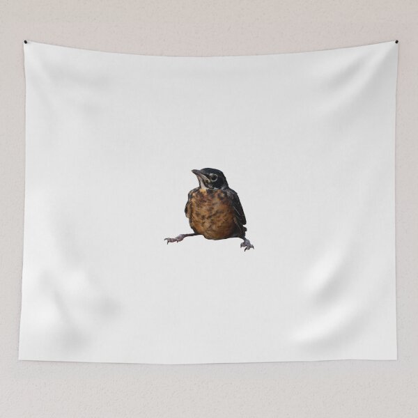 Item preview, Robin's First Day Out designed and sold by Dylan Lawrence.