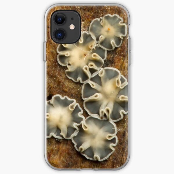 Slime Mold iPhone Soft Case