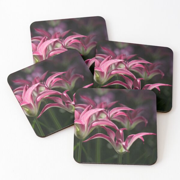 Item preview, Tulips amidst the shadow designed and sold by IngridPhoto.