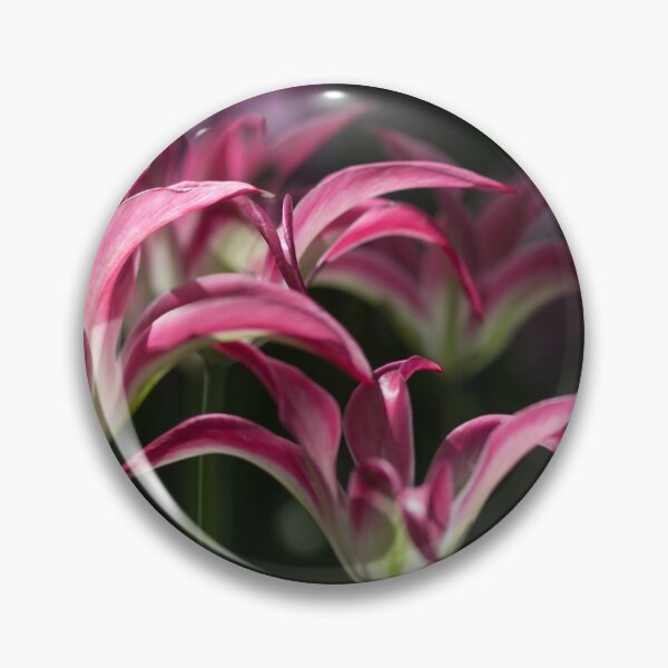 Item preview, Tulips amidst the shadow designed and sold by IngridPhoto.