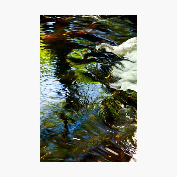 The River Aven 2012 Photographic Print