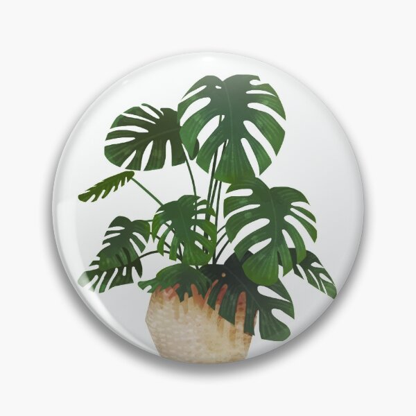 Item preview, Monstera plant designed and sold by Alphabelli.