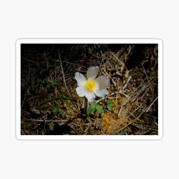 Vignette Floral Sticker