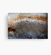 Stain Canvas Print