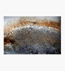 Stain Photographic Print