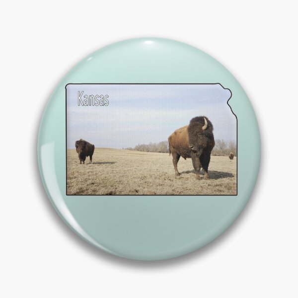 Item preview, kansas state and 3 bison designed and sold by IIIcrows.
