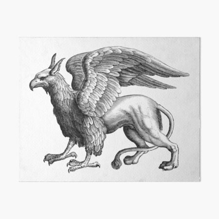 Griffin - Black and white Art Board Print