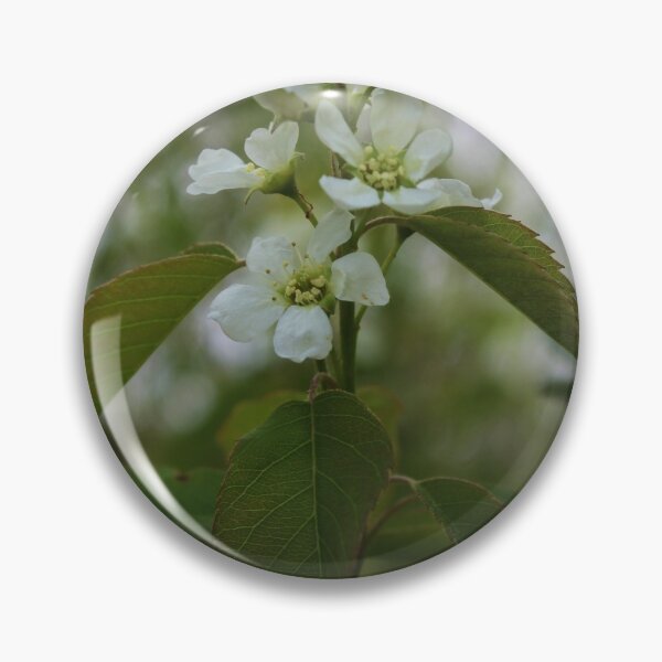 Item preview, Crowning Petals designed and sold by DylannaFisher.