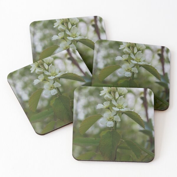 Item preview, Crowning Petals designed and sold by DylannaFisher.