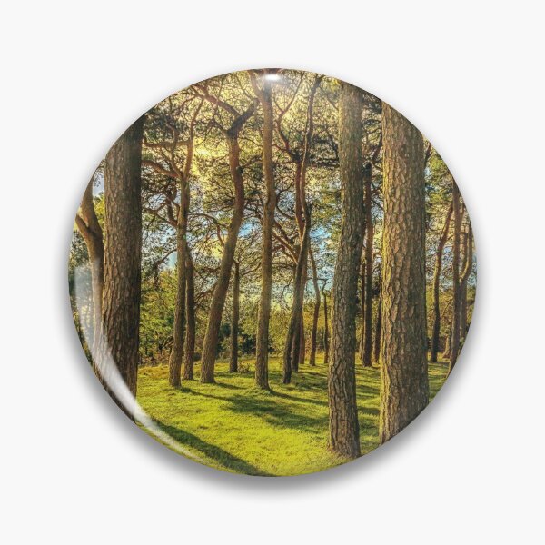 Item preview, Shadows In The Forest designed and sold by StephenRphoto.
