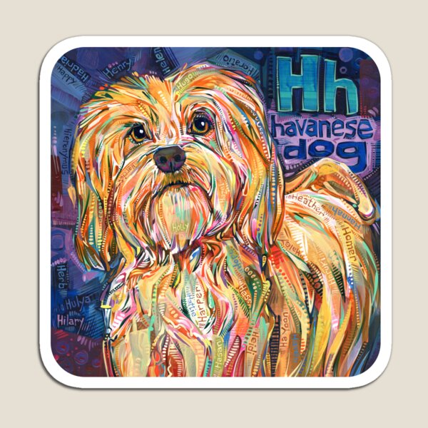 H Is for Havanese Dog - 2019 Magnet