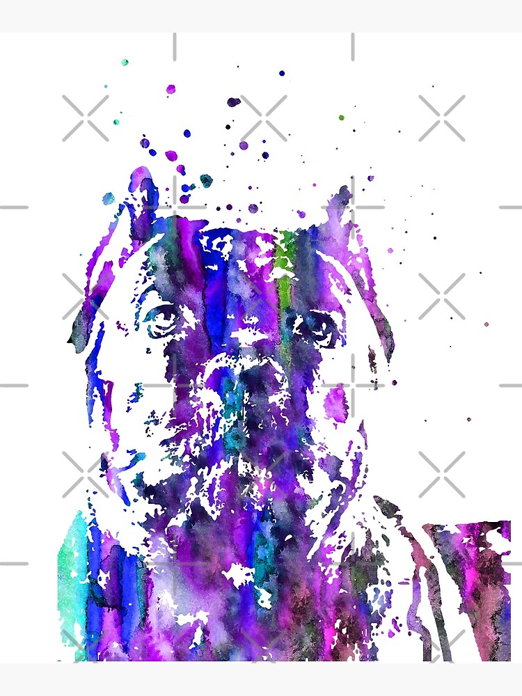 Cane Corso, Cane Corso dog, watercolor Cane Corso, Italian Mastiff by Rosaliartbook