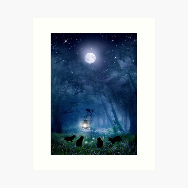 Framed Print Picture Fairies Fantasy Magic Wicca Pagan Spell Sleeping Moon 