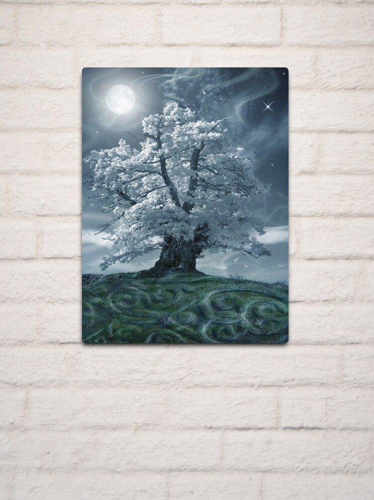 Thumbnail 2 of 4, Metal Print, The White Leaved Oak designed and sold by Angie Latham.