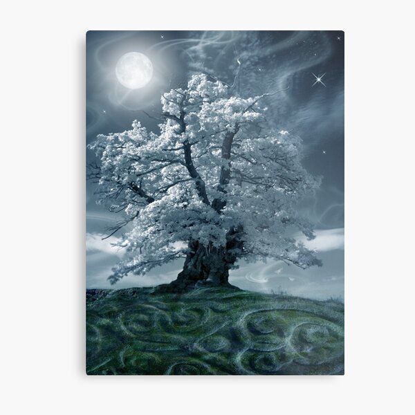 Metal Print