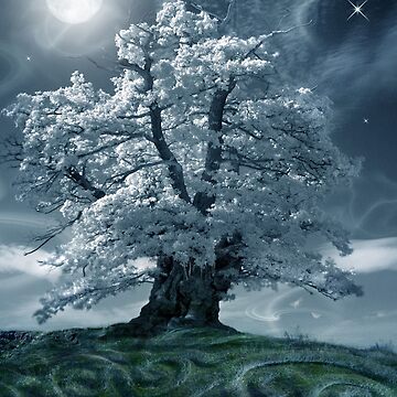 Artwork thumbnail, The White Leaved Oak by AngelaBarnett