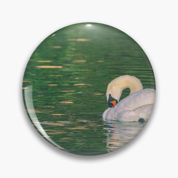 Item preview, Bashful designed and sold by jvnimages.
