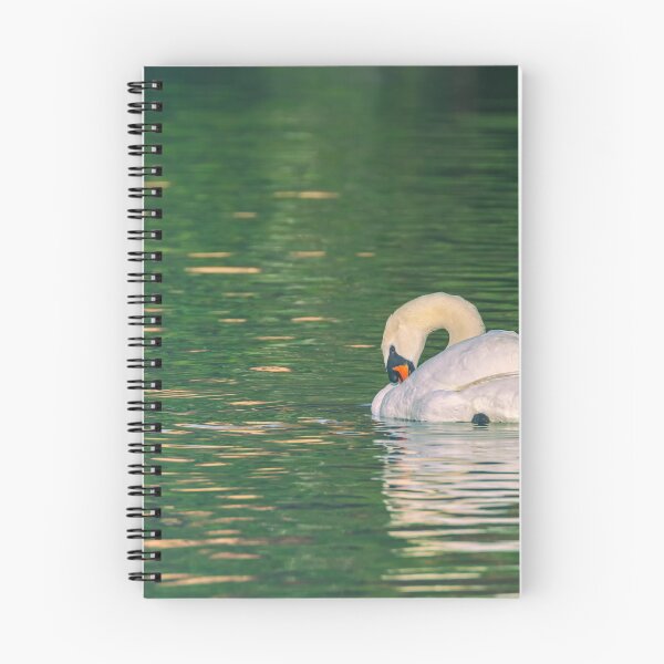 Item preview, Bashful designed and sold by jvnimages.