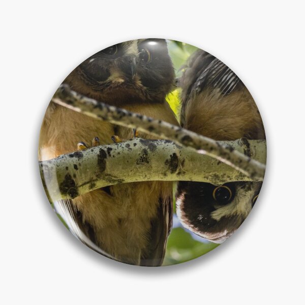 Item preview, Different perspectives designed and sold by Sheri Skocdopole.