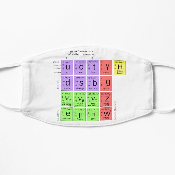 #ParticlePhysics #StandardModel #ElementaryParticle #HiggsBoson Physics Flat Mask