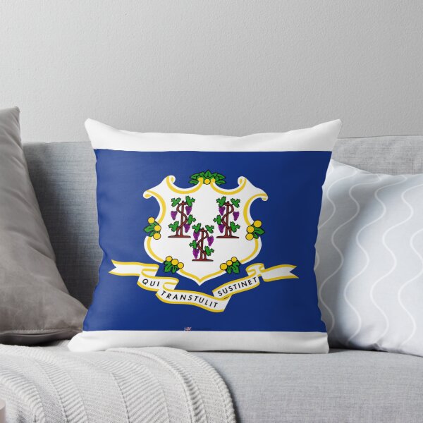 Item preview, CONNECTICUT STATE FLAG PRIDE MASK PIN TEE designed and sold by denisetees.