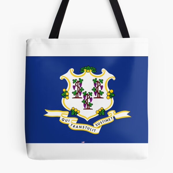 Item preview, CONNECTICUT STATE FLAG PRIDE MASK PIN TEE designed and sold by denisetees.