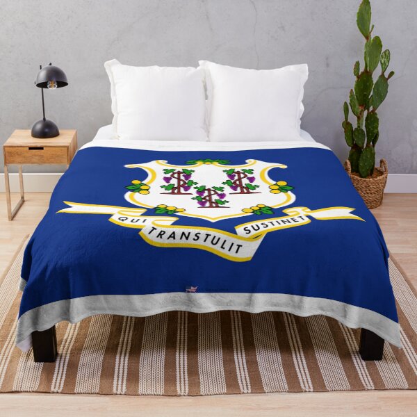 Item preview, CONNECTICUT STATE FLAG PRIDE MASK PIN TEE designed and sold by denisetees.