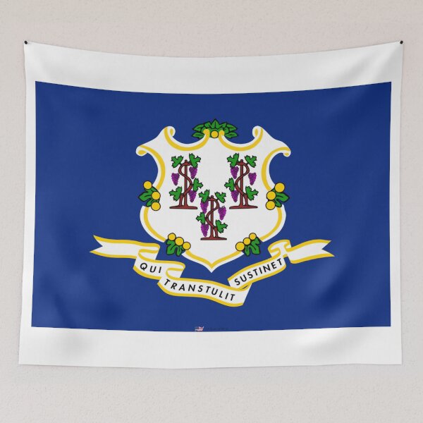 Item preview, CONNECTICUT STATE FLAG PRIDE MASK PIN TEE designed and sold by denisetees.