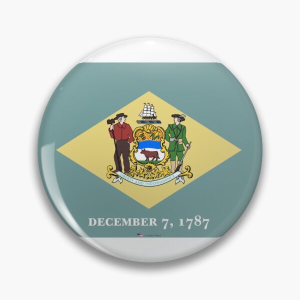 Item preview, DELAWARE STATE FLAG PRIDE MASK PIN TEE designed and sold by denisetees.