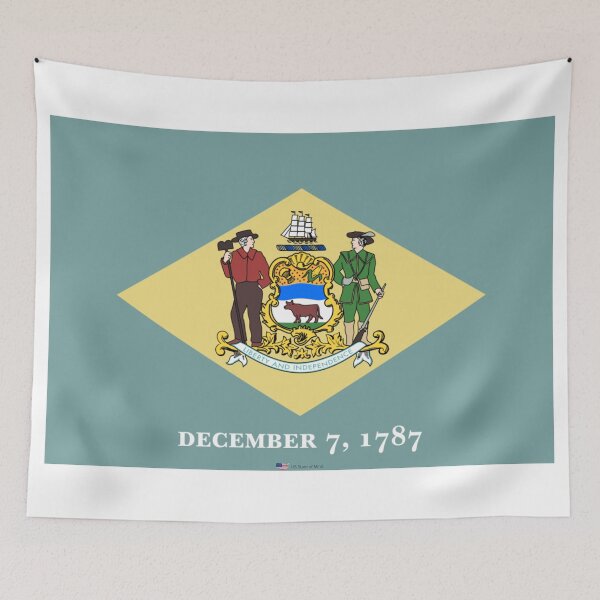 Item preview, DELAWARE STATE FLAG PRIDE MASK PIN TEE designed and sold by denisetees.