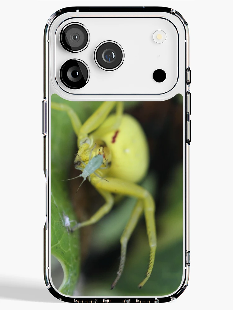 Thumbnail 1 of 5, iPhone Case, Spider designed and sold by Bill Rockenbeck.